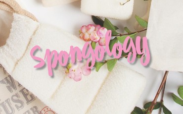 Spongelle catalogue May 2018 _Page_22